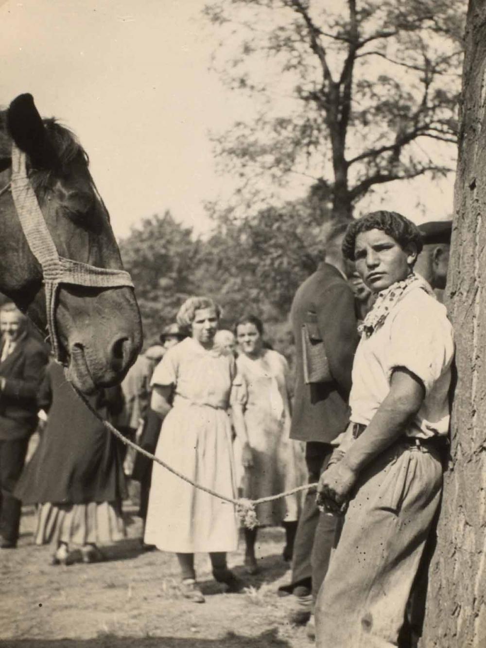 German horse fair, 1935. Liverpool University Library Special Collections German horse fair, 1935. Liverpool University Library Special Collections